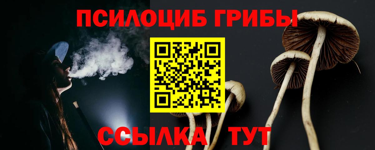 Псилоцибиновые грибы мицелий Кирово-Чепецк